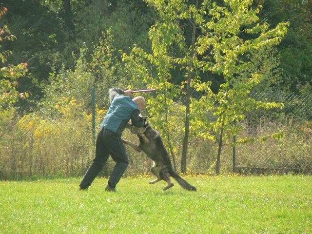 photo78.jpg - 16.9.2006 - závod O Pohár Jižního Města, získali jsme 3. místo v kategorii IPO-3