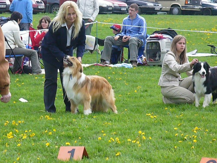 klubovka_3_5_08_021.jpg - Irihan Rubínové srdce - KV 3.5.2008